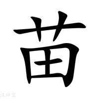 苗字意思|苗的意思，苗字的意思